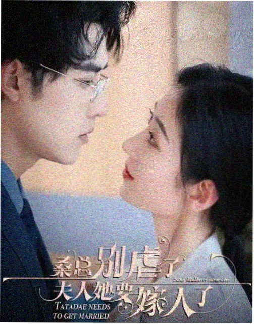 山海情 国产在线观看全集电视剧网站